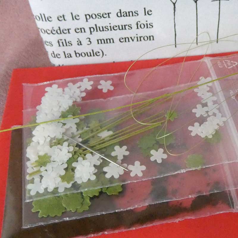 Pelagonie / Geranium – Blomster KIT - Billede 5