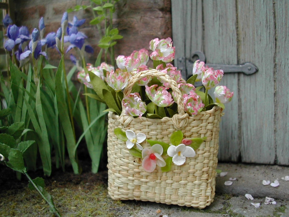 Papegøjetulipan – Blomster KIT - Billede 4